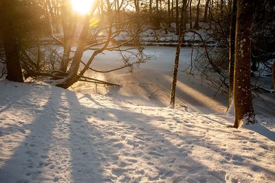 DSC_2437-001.jpg