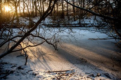 DSC_2443-001.jpg