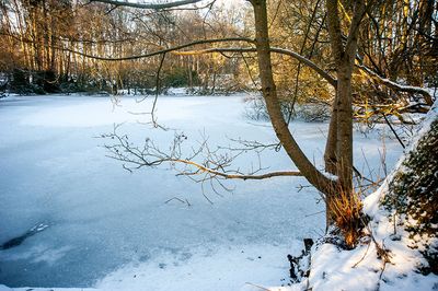 DSC_2445-001.jpg