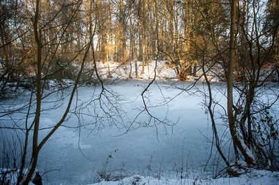 DSC_2449-001.jpg
