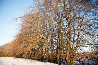 DSC_2462-001.jpg