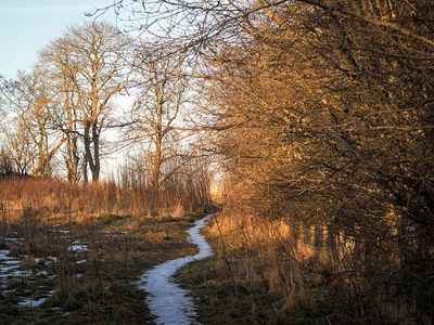 P1180009-2-001.jpg