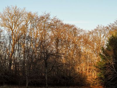 P1180012-2-001.jpg