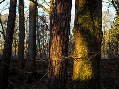 P1180044-2-2-001.jpg