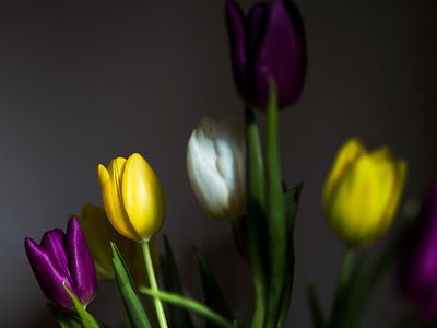 P1210083-2-001.jpg