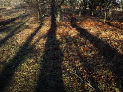 P1250002-2-001.jpg
