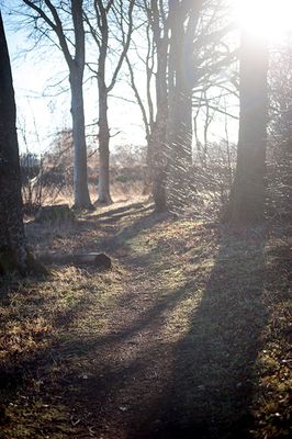 DSC_2633-001.jpg