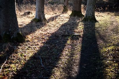 DSC_2635-001.jpg