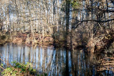 DSC_2669-001.jpg