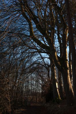 DSC_2672-001.jpg