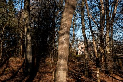 DSC_2678-001.jpg