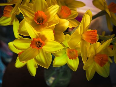 P3180018-2-001.jpg