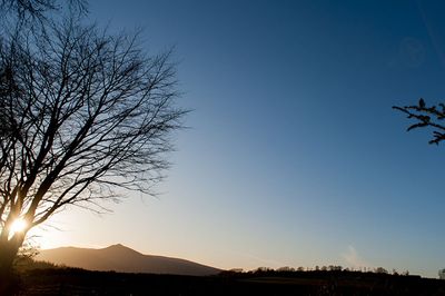 DSC_3578-001.jpg