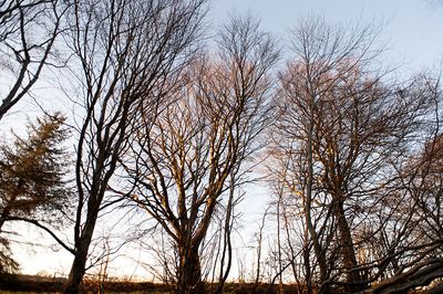 DSC_3601-001.jpg