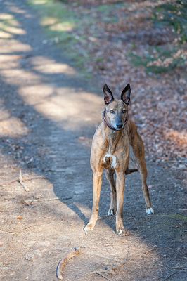 DSC_3639-001.jpg
