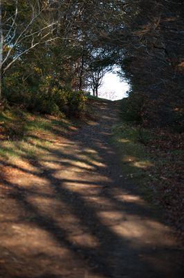 DSC_3640-001.jpg