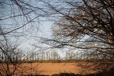 DSC_3665-001.jpg