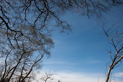 DSC_3778-001.jpg