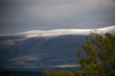 DSC_4552-001.jpg