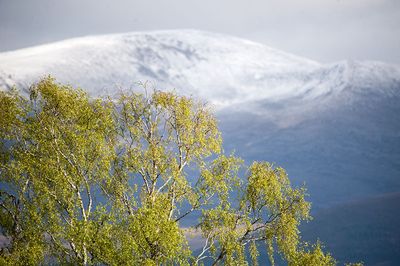 4th May 2025  Cairngorm