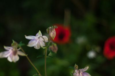 DSC_4845-001.jpg