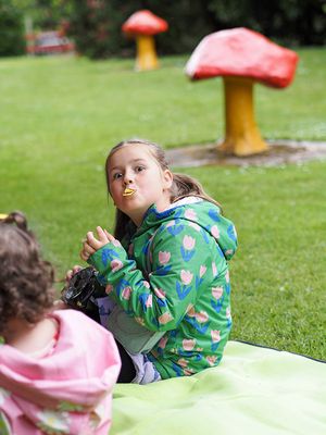 P6150011-2-001.jpg