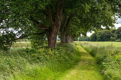 DSC_5460-001.jpg