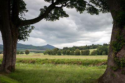 DSC_5479-001.jpg