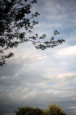 g13/83/72883/3/175565442.d5a21c59.JPEG