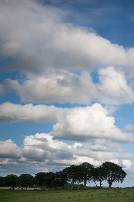 DSC_5496-001.jpg