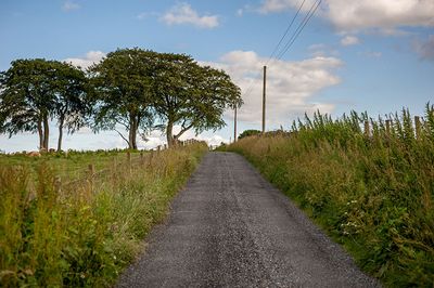 DSC_5497-001.jpg