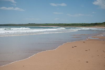 DSC_5681-001.jpg