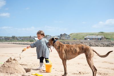 28th June 2025  beach at Cruden Bay