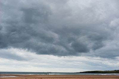 DSC_5835-001.jpg
