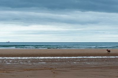 DSC_5872-001.jpg