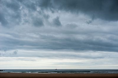 DSC_5873-001.jpg
