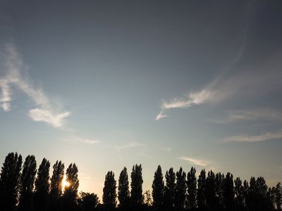 g13/83/72883/3/175621004.2941e5df.JPEG