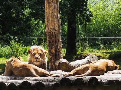 P7080165-2-001.jpg