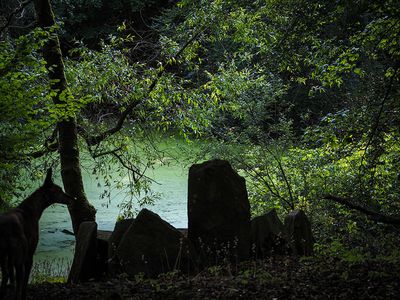 P7290035-2-001.jpg