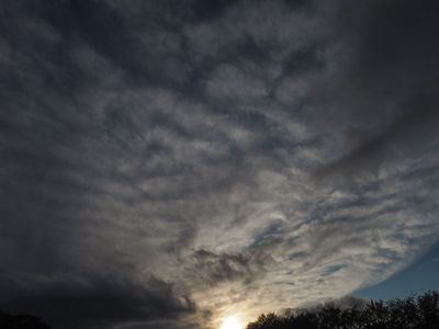 P9180005-2-001.jpg