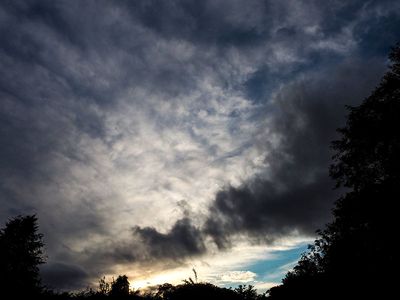 P9180015-2-001.jpg