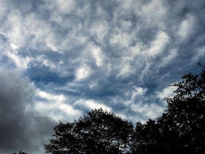 P9180016-2-001.jpg