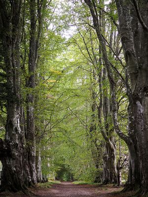 P9270111-2-001.jpg