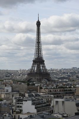 DSC_6536.JPG