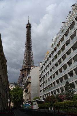 DSC_6640.JPG