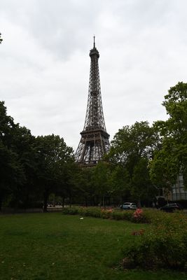 DSC_6643.JPG
