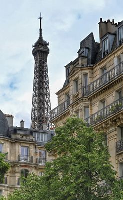 DSC_6650.JPG