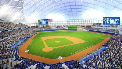 Tampa Bay Rays