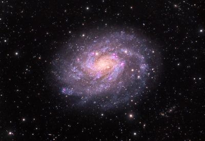 NGC 300