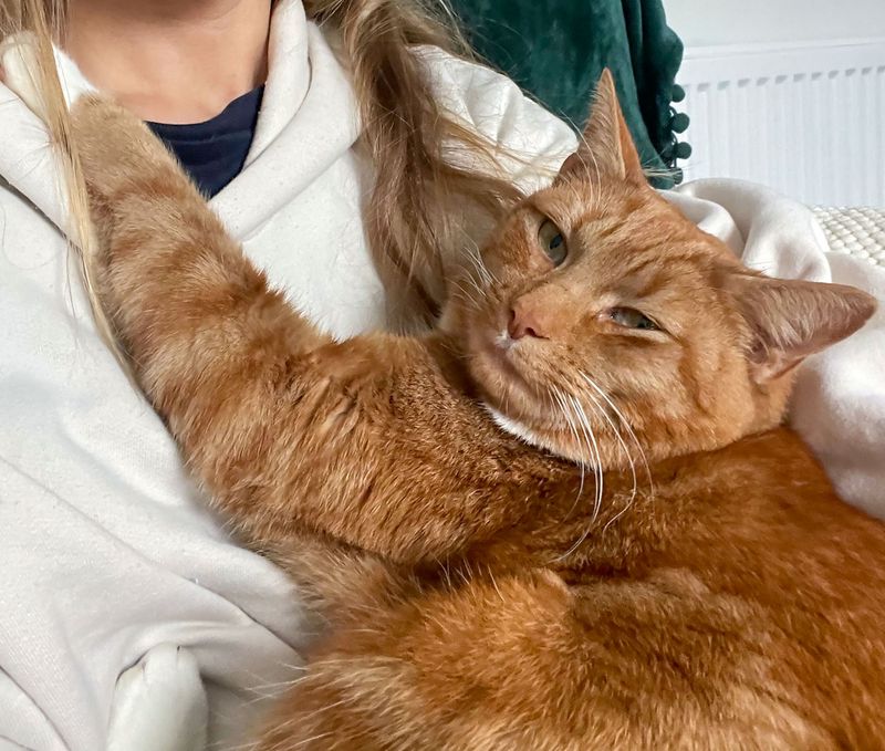Cuddles